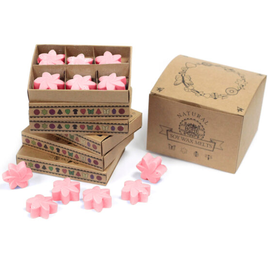 Caixa de 6 ceras de Soja – Rosa clássica